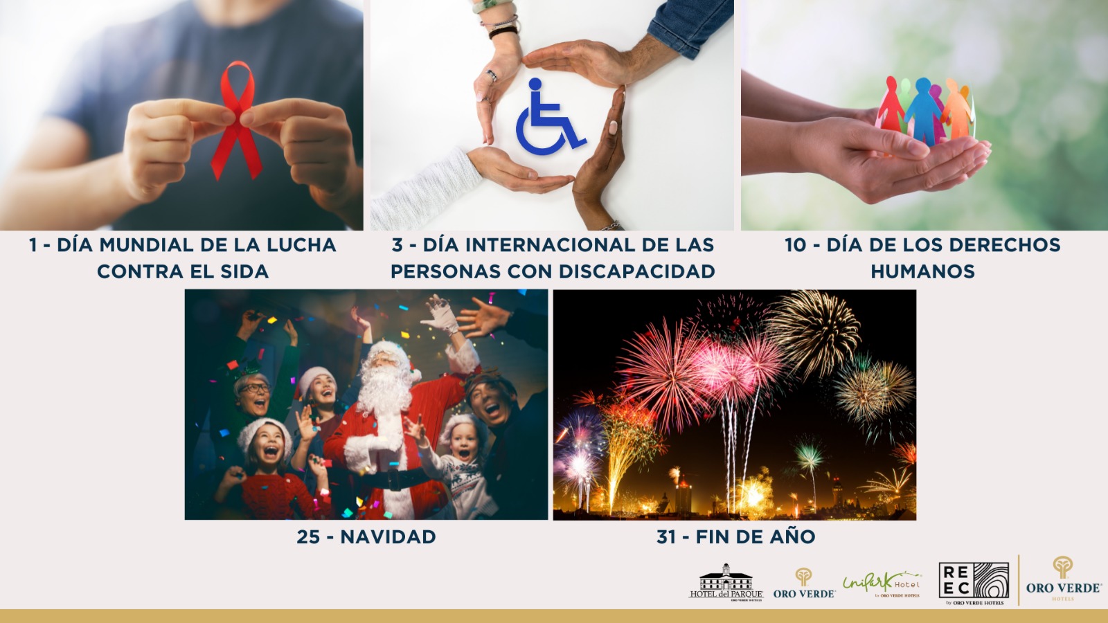 Odoo • Texto e imagen